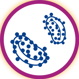 Visualization of EVH