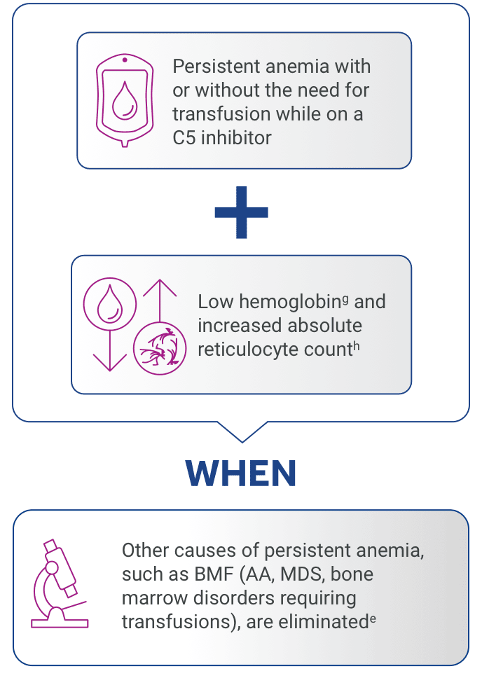 Flow chart defining EVH disease characterestics.