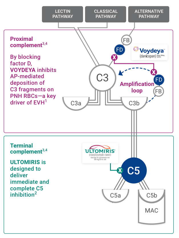 Dual Index Reverse Complement VOYDEYA™ (danicopan) Control IVH & EVH | Dual Inhibition of Complement